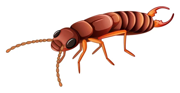 Termite on white background — 图库矢量图片