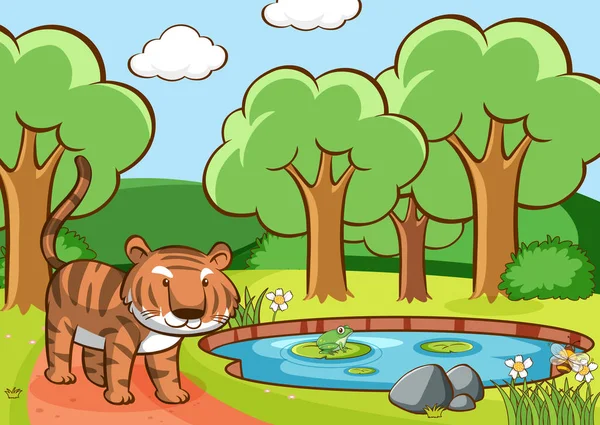 Scene with tiger by the pond — Stock Vector