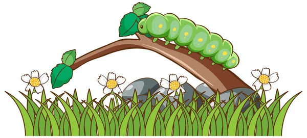 Isolated picture of caterpillar in garden — Stock Vector