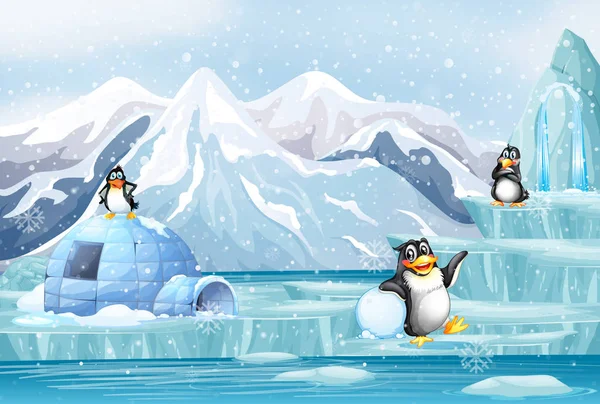 Escena con tres pingüinos sobre hielo — Archivo Imágenes Vectoriales