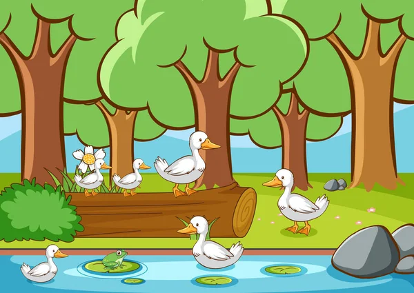 Scene with ducks in the forest — Stock Vector