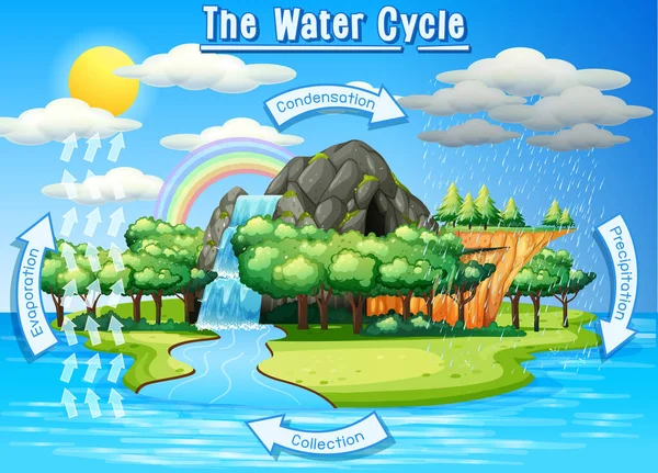 Proceso del ciclo del agua en la Tierra - Científico — Vector de stock