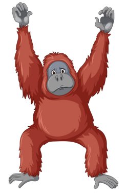 Beyaz arka planda üzgün şempanze