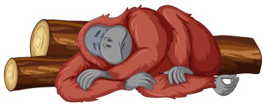 Şempanze beyaz arka planda uyuyor.