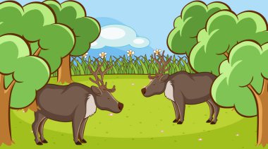 Ormanda geyikli sahne