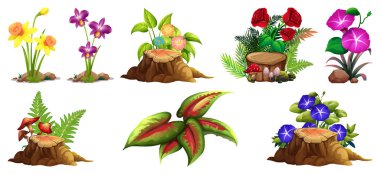 Kayalar ve ahşap üzerinde renkli çiçekler büyük set