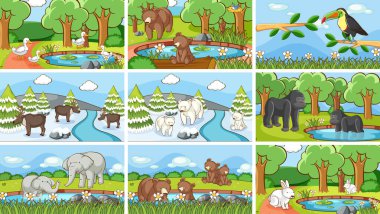 Vahşi doğadaki hayvanların arka plan görüntüleri.