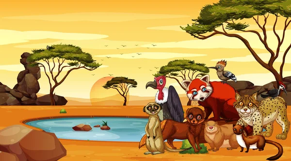 Σκηνή με άγρια ζώα στο πεδίο σαβάνα — Διανυσματικό Αρχείο