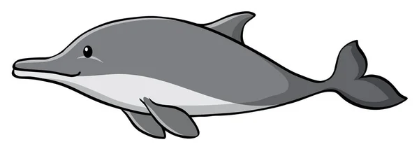 Dolphin di Latar Belakang Putih - Stok Vektor