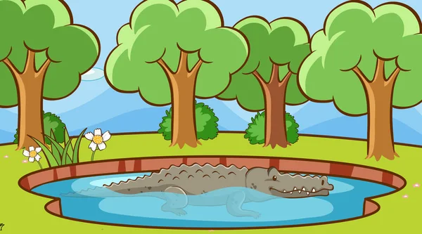 Scen med krokodil i dammen — Stock vektor