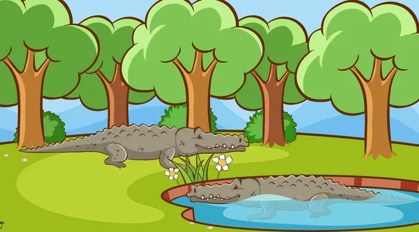 Cena com crocodilos no parque — Vetor de Stock