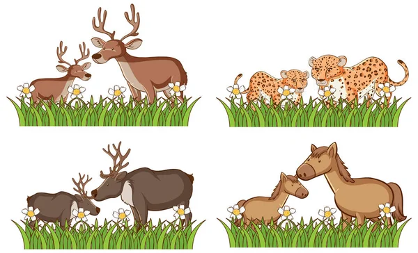 Four types of animals in the garden — Stock Vector