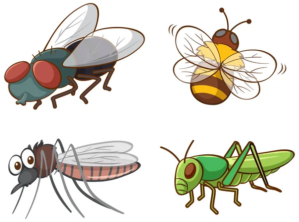 Isolerad bild av olika insekter — Stock vektor
