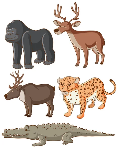 Ізольована картина диких тварин — стоковий вектор