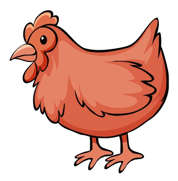 Red chicken on white background — Stock Vector