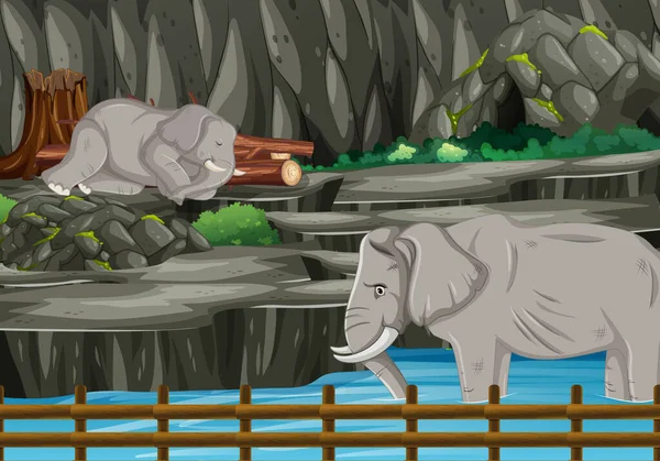 동물원에 코끼리 두 마리가 있는 장면 — 스톡 벡터