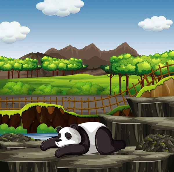 Cena com panda no zoológico —  Vetores de Stock