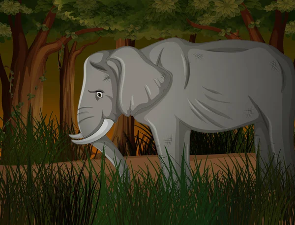 Elefante flaco en bosque oscuro — Vector de stock