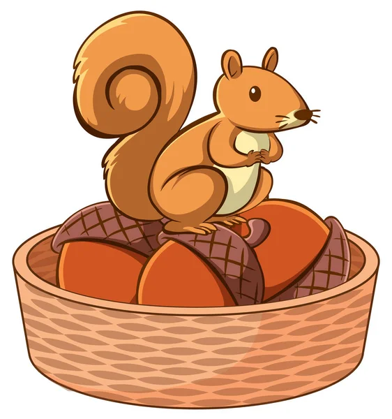 Wiewiórka w koszyku na białym tle — Wektor stockowy