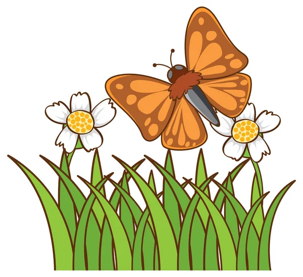 Schmetterling im Garten auf weißem Hintergrund — Stockvektor