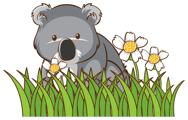 Isolated picture of cute koala — Stock Vector