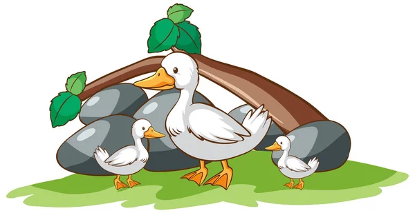 Beyaz arka plan ördekleri — Stok Vektör
