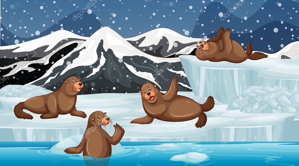 Scene with many seals on ice