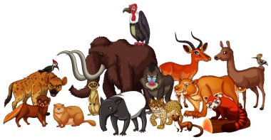 Isolated picture of wild animals