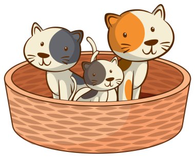 Beyaz arka planda sevimli kediler