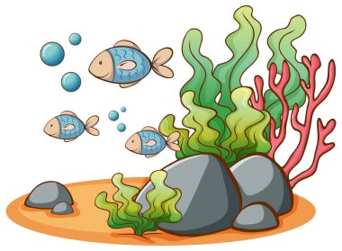 Beyaz arkaplanda yüzen balık