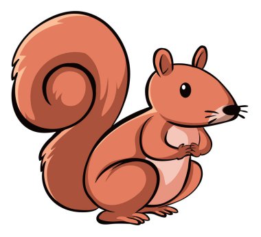 Kahverengi beyaz arka plan üzerinde sincap