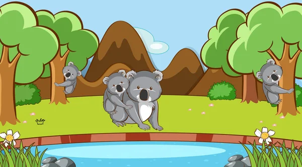 Escena con koala en el bosque — Vector de stock