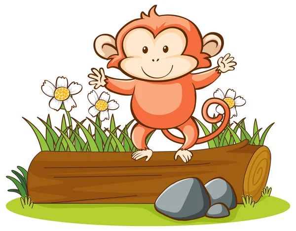 Izolovaný obrázek roztomilé opice — Stockový vektor