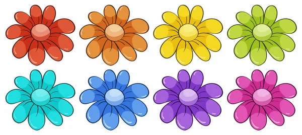 Isolated set of flowers — Stock Vector