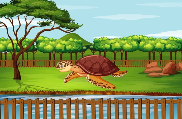 Scène met schildpad in de dierentuin — Stockvector