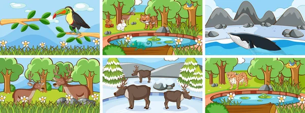 Escenas de fondo de animales en la naturaleza — Vector de stock