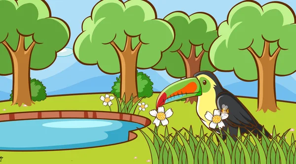 Σκηνή με toucan πουλί στο πάρκο — Διανυσματικό Αρχείο