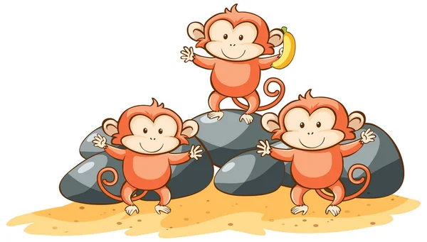 Three monkeys on white background — Stock Vector