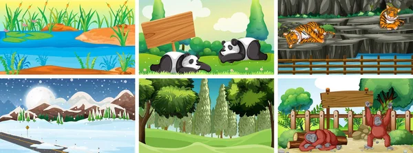 Six scenes with animals in the park — 스톡 벡터