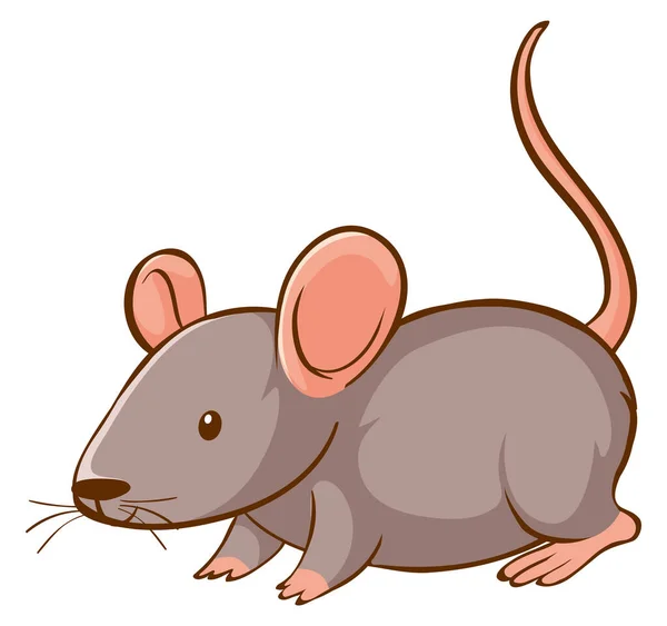 Souris grise sur fond blanc — Image vectorielle