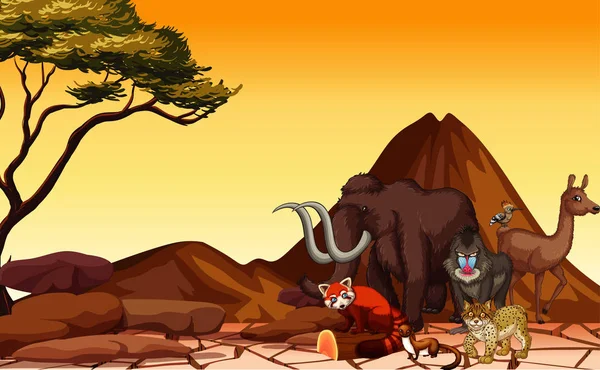 Scène avec de nombreux animaux dans le désert — Image vectorielle