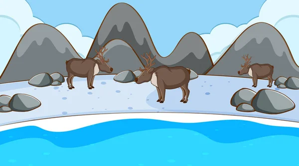 Scene with reindeers in winter — Stock Vector