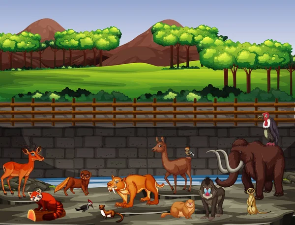 Escena con muchos animales en el zoológico — Archivo Imágenes Vectoriales