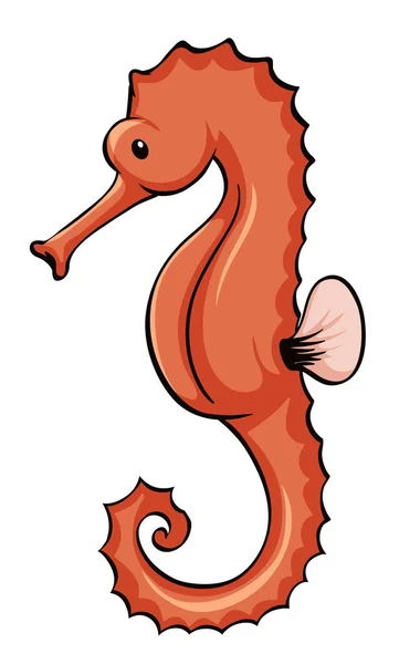 Orange seahorse on white background — Stock Vector