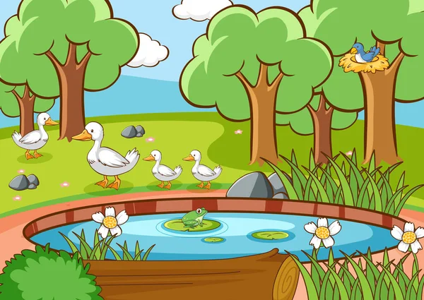 Escena con patos y aves junto al estanque — Vector de stock