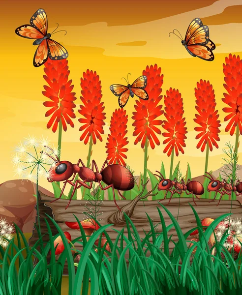 Cena da natureza com borboletas e formigas no log —  Vetores de Stock