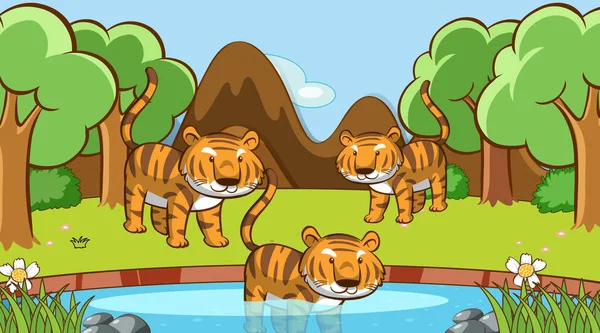 Szene mit vielen Tigern im Wald — Stockvektor