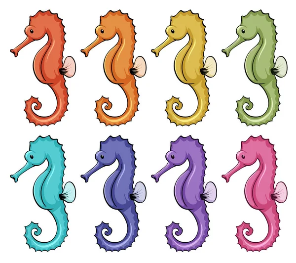 Geïsoleerde set kleurrijke zeepaardjes — Stockvector