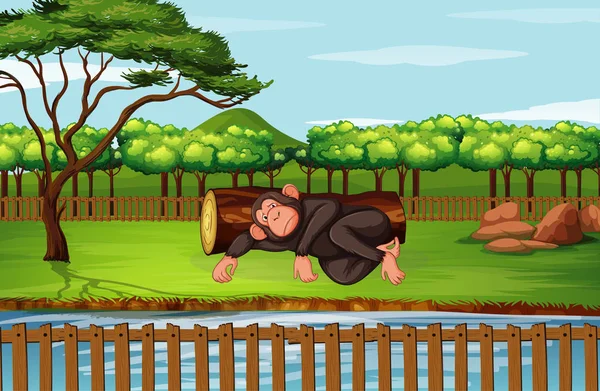 Scene with chimpanzee in the park — 스톡 벡터