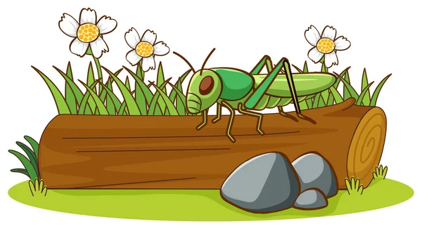 Isolated picture of grasshopper on log — Stock Vector